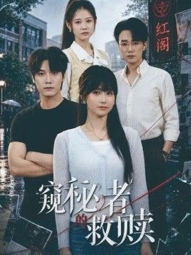 窥秘者的救赎海报