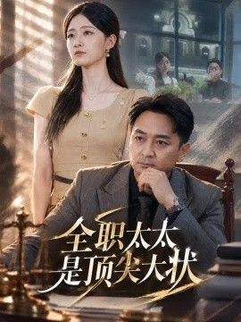 全职太太是顶尖大状海报