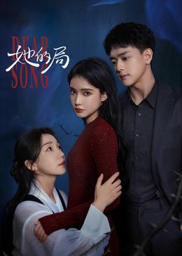 她的局海报