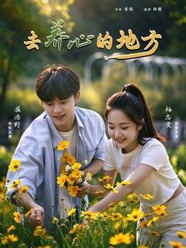 去养心的地方海报