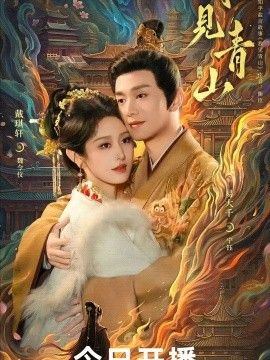 我见青山海报