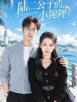 陆二公子的小锦鲤海报