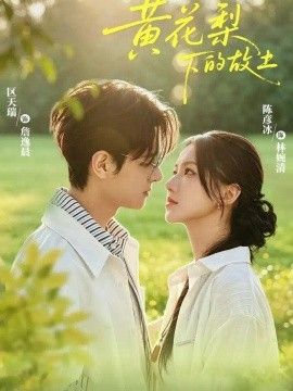 黄花梨下的故土海报