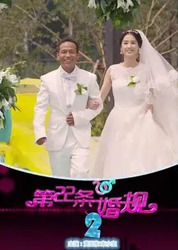 第22条婚规2海报