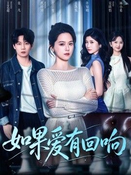 如果爱有回响海报