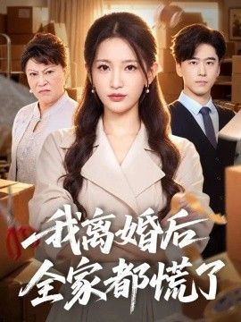 我离婚后全家都慌了海报