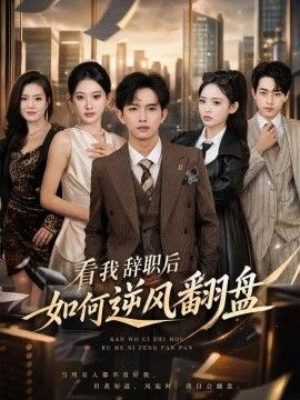 看我辞职后如何逆风翻盘海报