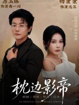 枕边影帝海报