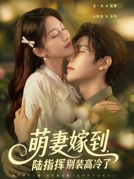萌妻嫁到，陆指挥别装高冷了海报