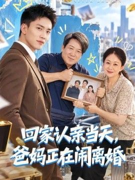 回家认亲当天，爸妈正在闹离婚海报