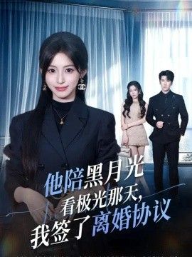 他陪黑月光看极光那天，我签了离婚协议海报