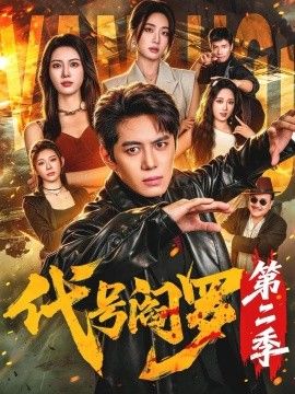 代号阎罗第二季海报