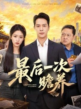 最后一次赡养海报