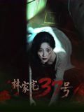 林家宅37号海报