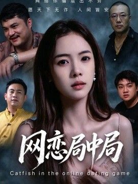 网恋局中局海报