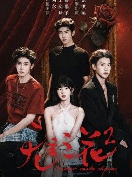 无主之花2海报