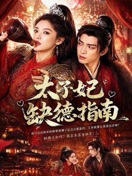 太子妃缺德指南海报