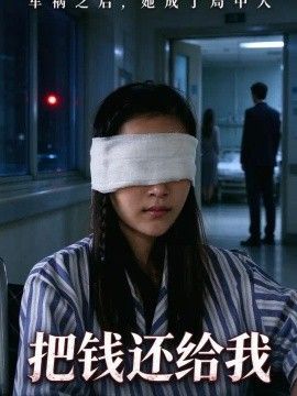 把钱还给我海报