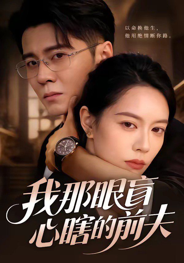 我那眼盲心瞎的前夫海报