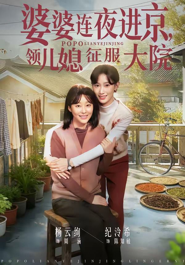 婆婆连夜进京，领儿媳征服大院海报