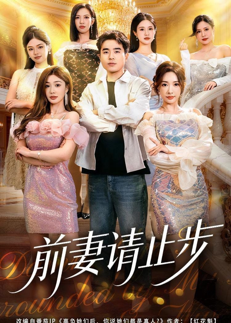 前妻请止步海报