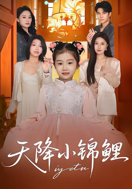 天降小锦鲤海报