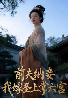 前夫纳妾，我嫁圣上掌六宫海报