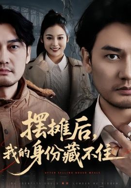摆摊后，我的身份藏不住海报