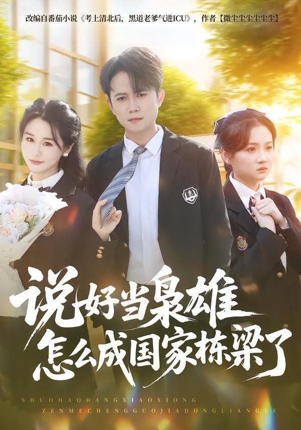 说好当枭雄怎么成国家栋梁了海报
