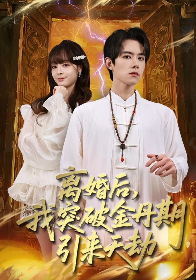 离婚后，我突破金丹期，引来天劫海报