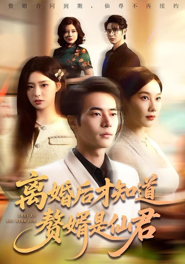 离婚后才知道赘婿是仙君海报