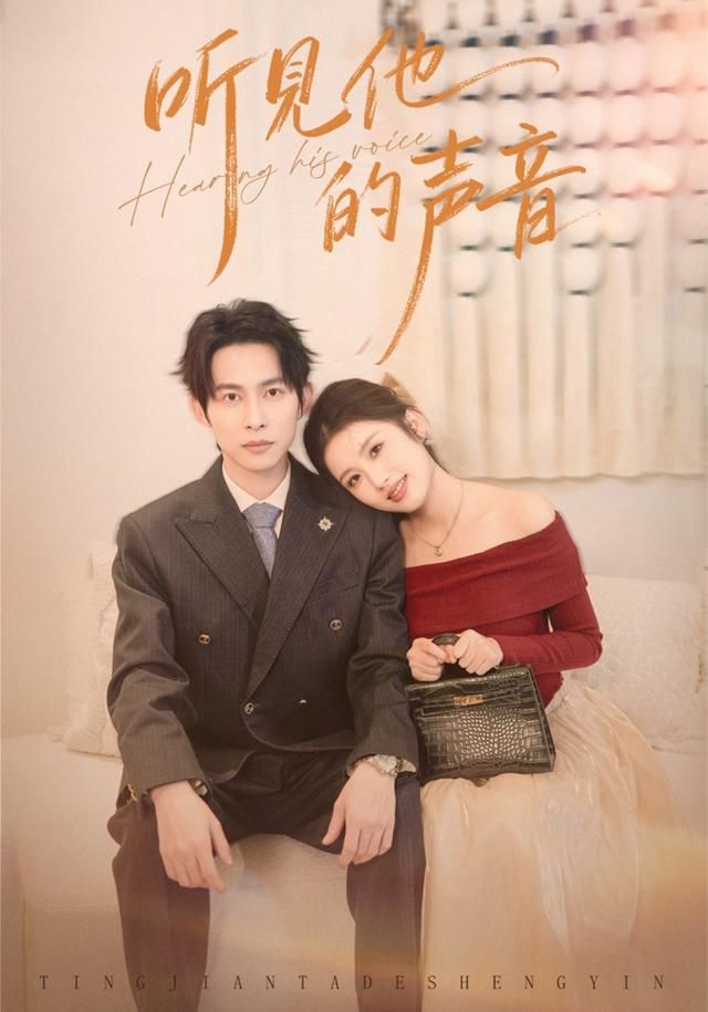 听见他的声音海报