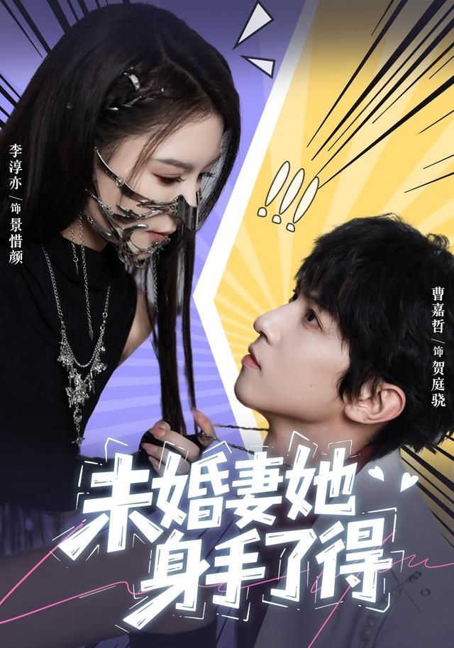 未婚妻她身手了得海报