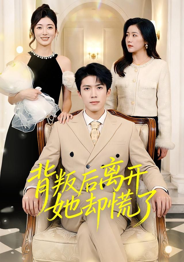 背叛后离开她却慌了海报