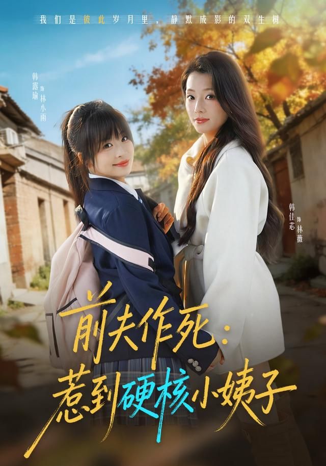 前夫作死惹到硬核小姨子海报