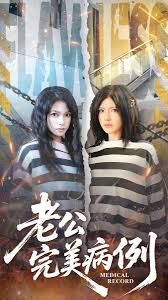 老公的完美病例海报