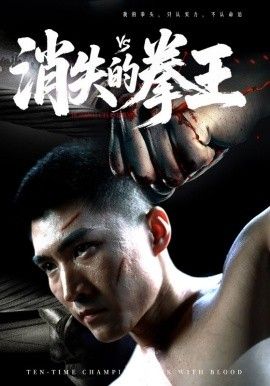 消失的拳王海报