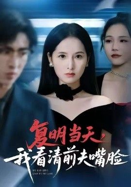 复明当天，我看清前夫嘴脸海报