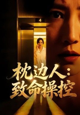枕边人致命操控海报