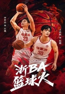 浙BA篮球火海报