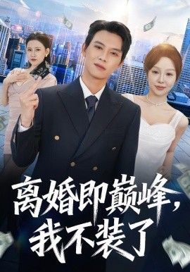 离婚即巅峰，我不装了海报