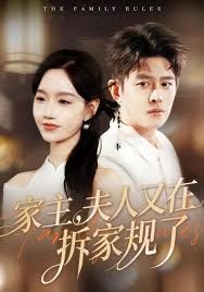 家主，夫人又在拆家规了海报