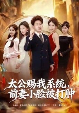 太公赐我系统，前妻小脸被打肿海报