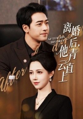 离婚后他青云直上海报