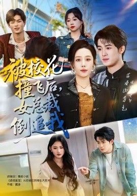 被校花撞飞后，女总裁倒追我海报