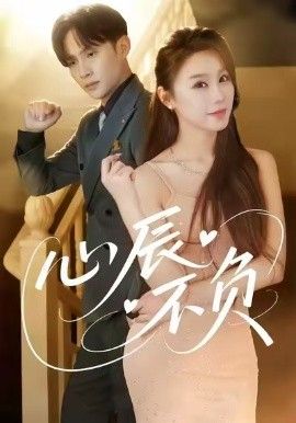 心辰不负海报