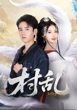 村乱海报