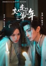 夫人走的第三年海报