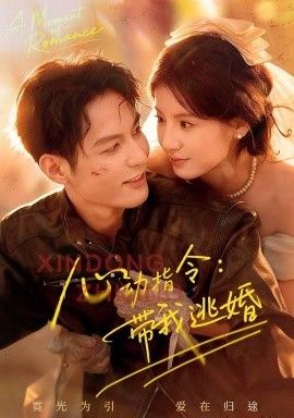 心动指令：带我逃婚，玫瑰窃贼海报