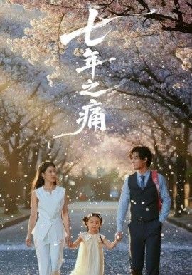 七年之痛，重生后我成了校花的渣夫海报
